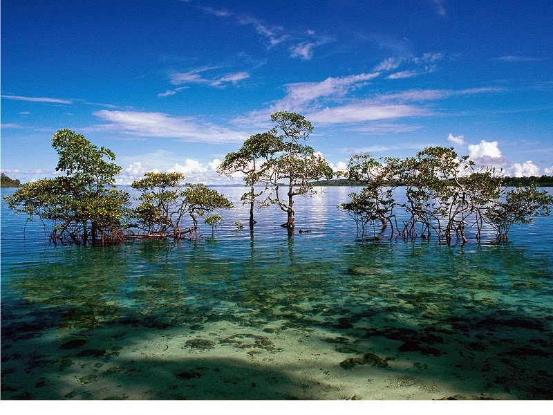 Andaman Islands